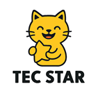 TECSTAR Interface